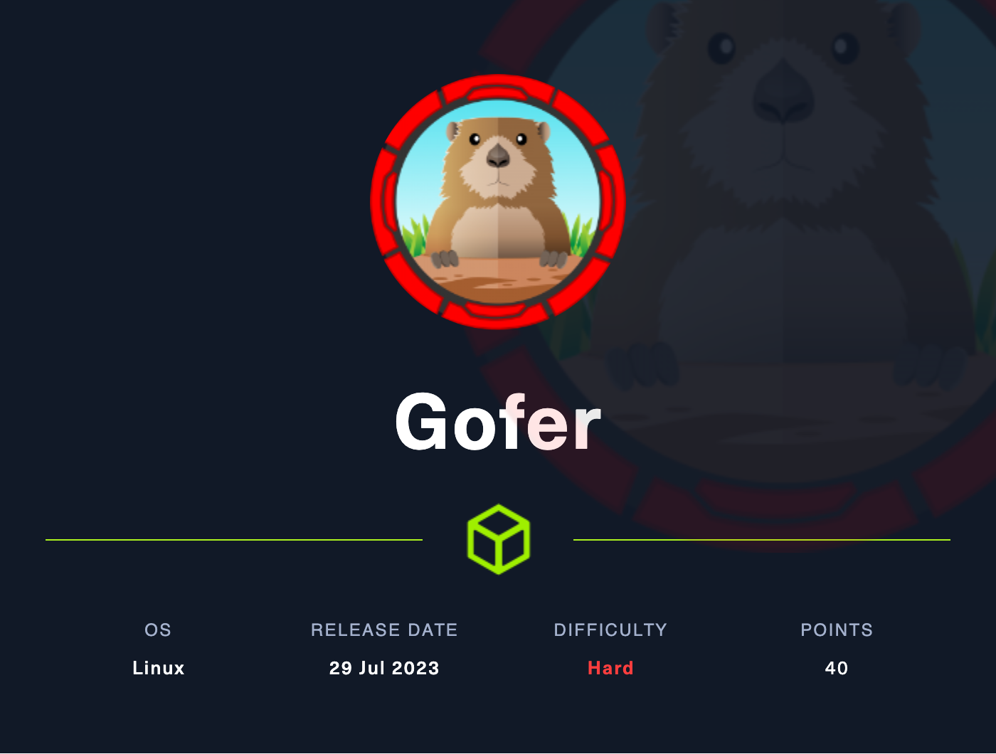 Gofer Machine Info